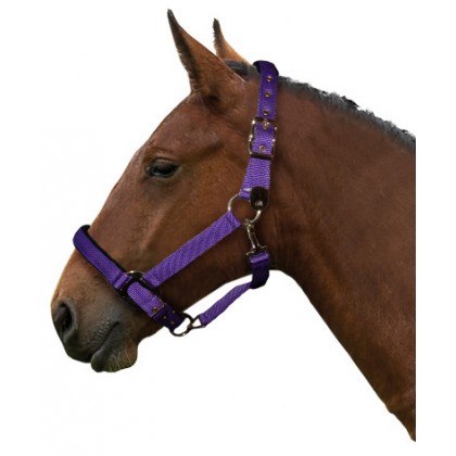Heavy Duty Padded Headcollar with Free Fly Fringe