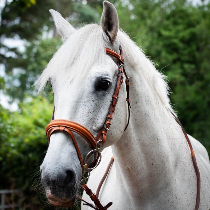 Comfort Bridle + Rubber Reins
